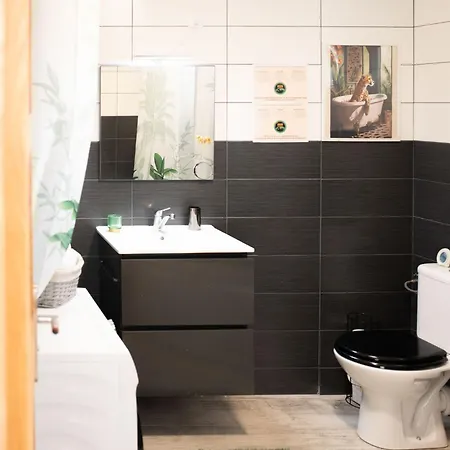 Jungle Appartement Lumineux Plein Centre Boulogne-sur-Mer Exterior foto