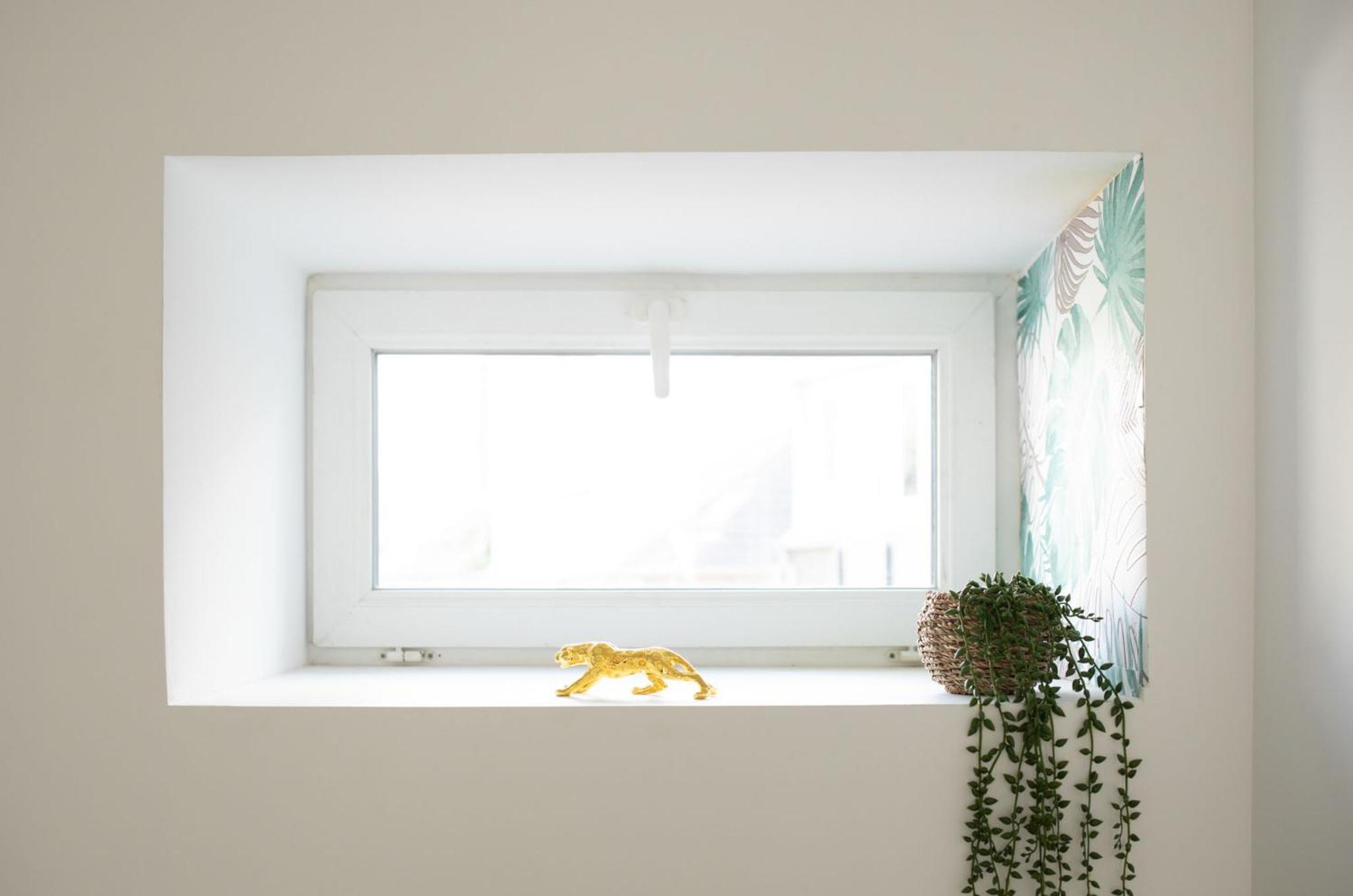 Apartment Jungle Lumineux Plein Centre Boulogne-sur-Mer