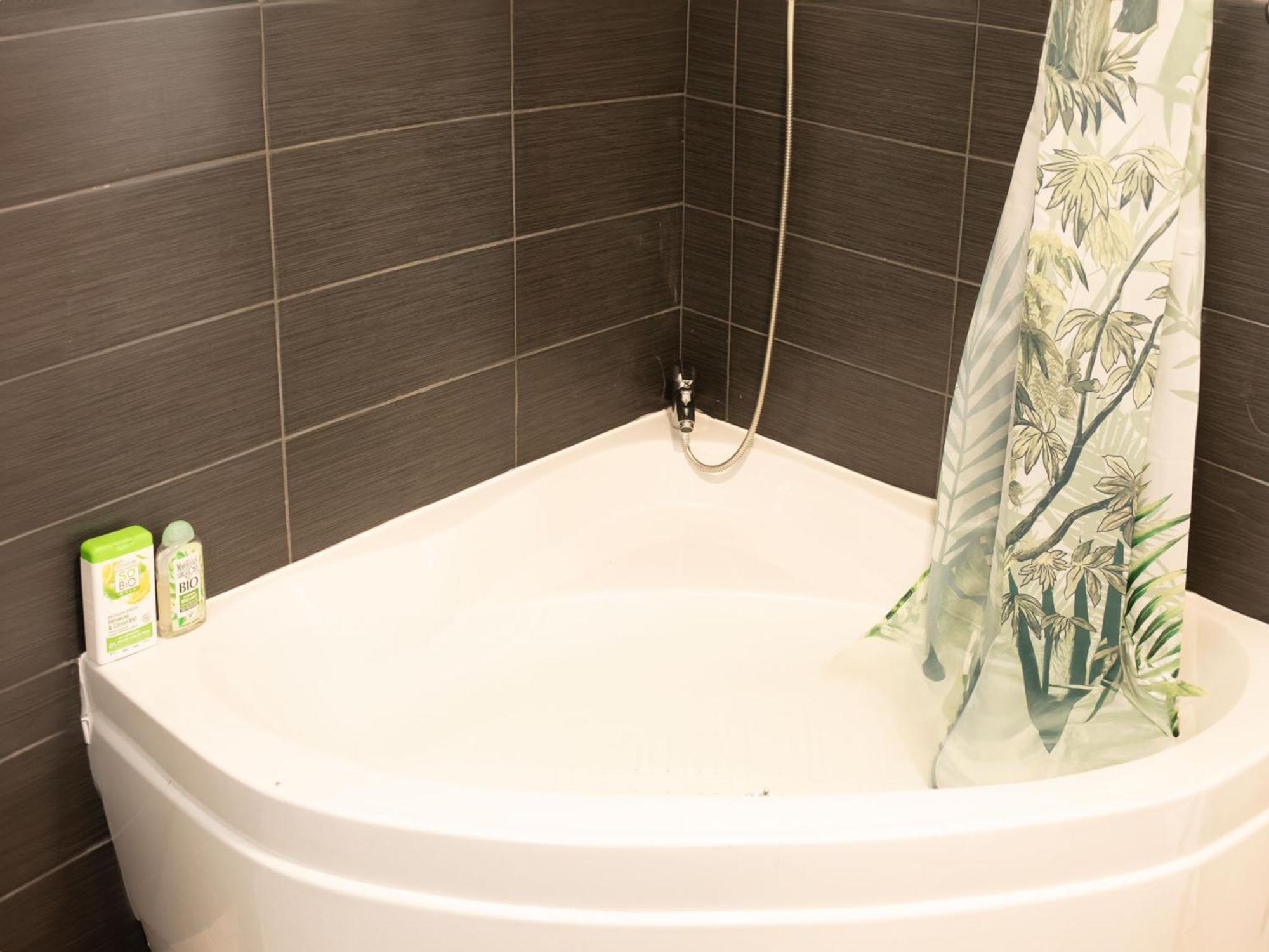 Jungle Lumineux Plein Centre Apartment Boulogne-sur-Mer
